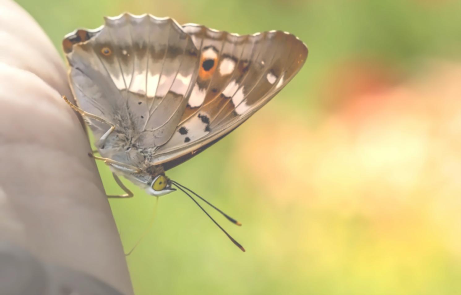 Рабочее пространство для образовательных консультаций