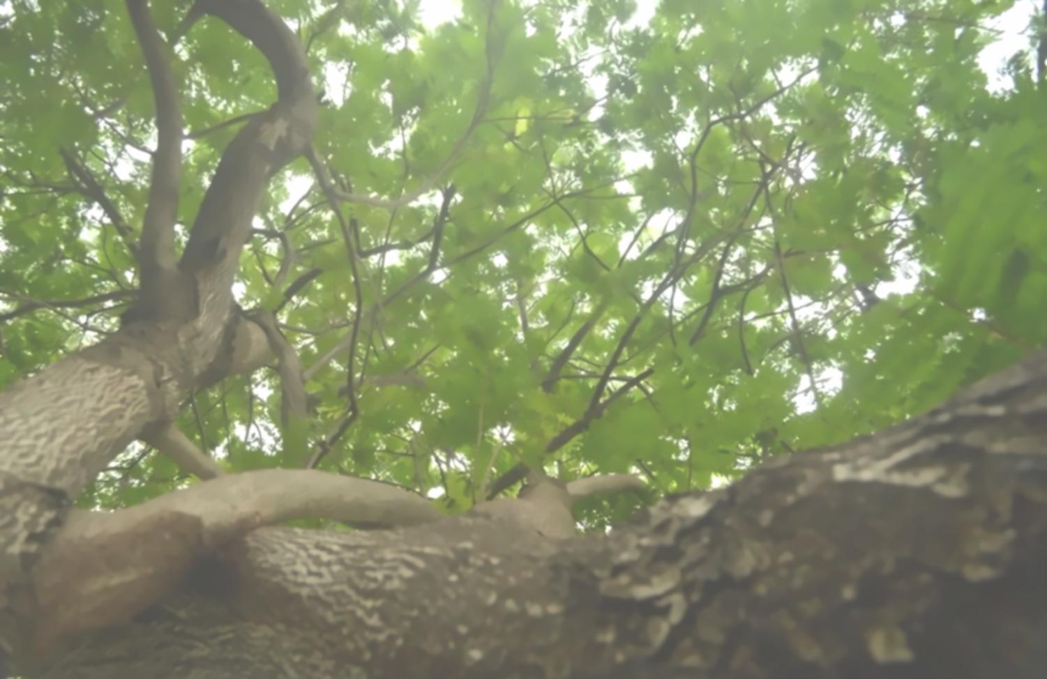 Изучение методик полевых исследований в горных регионах