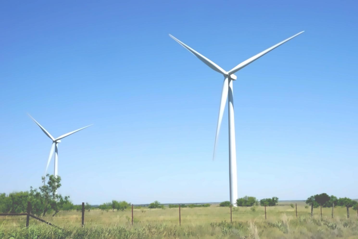 Обсуждение практических кейсов по экологии горных территорий