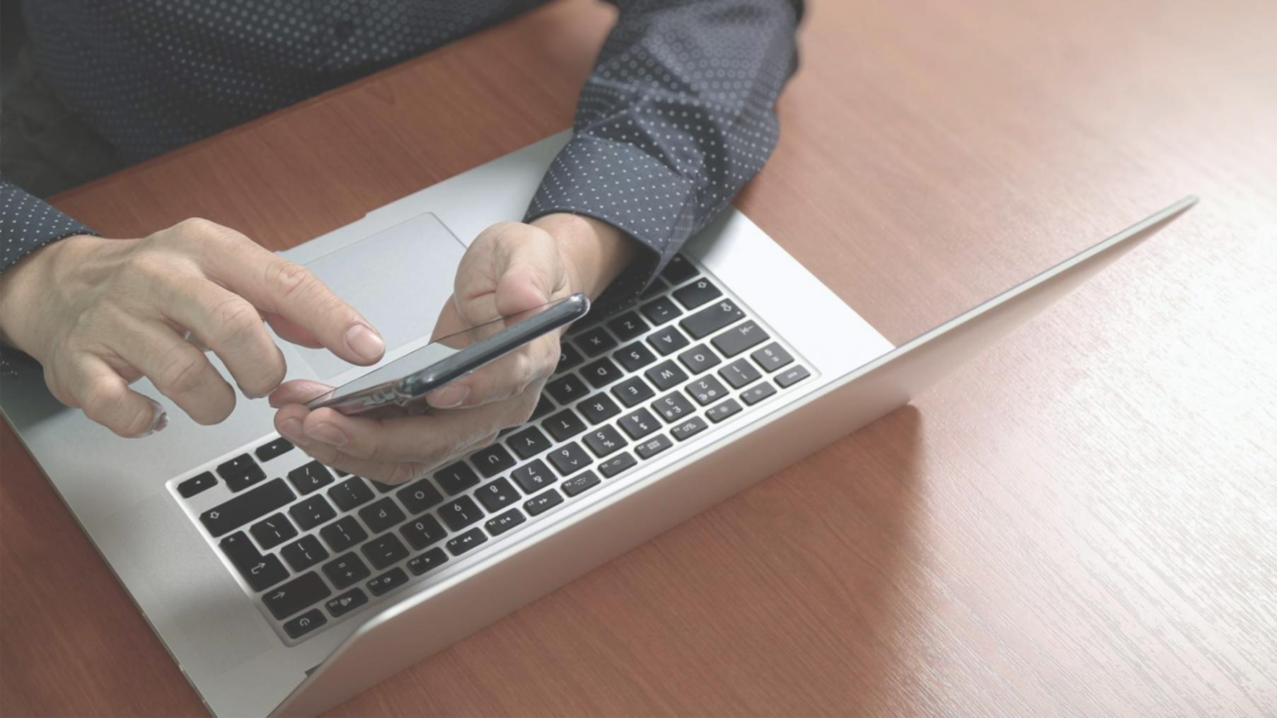 Исследование горных экосистем в полевых условиях